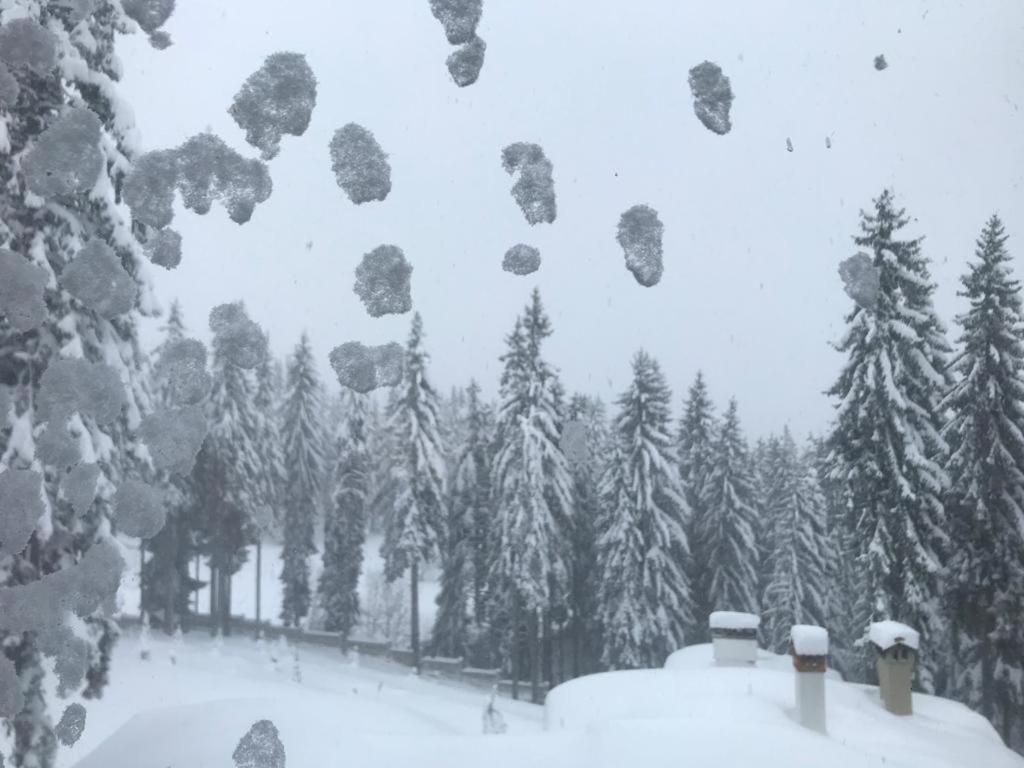 Cozy Apartment B35 In Grand Resort Pamporovo Kültér fotó