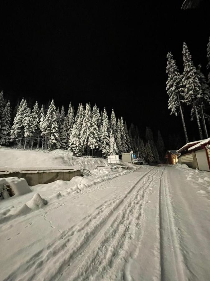 Cozy Apartment B35 In Grand Resort Pamporovo Kültér fotó